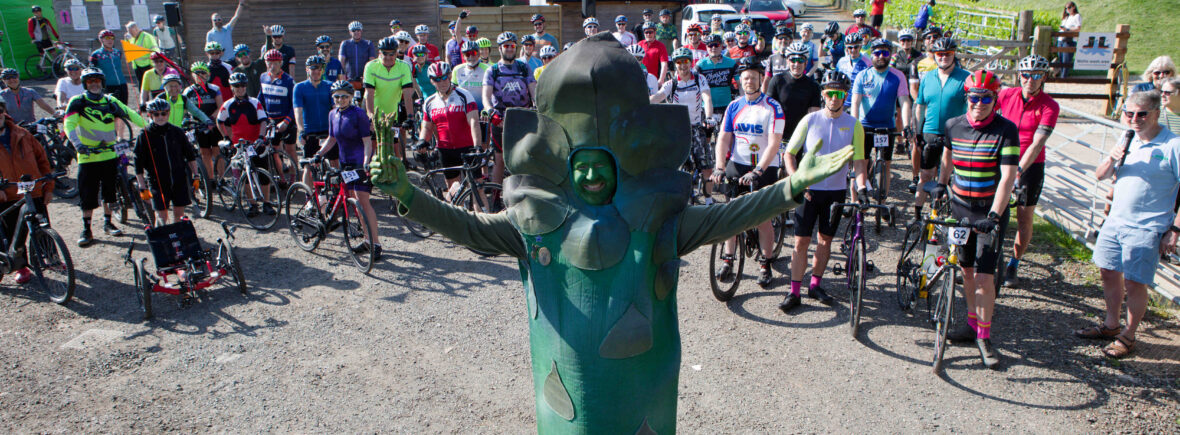 Asparagus Round Bikeaway